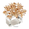 Aster Napkin Ring - Champagne