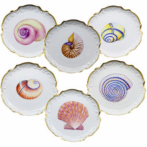 The Shell Bread and Butter Plate Collection by Anna Weatherley features six ornate porcelain plates with gold trim, each showcasing a unique hand painted shell at the center and arranged in a circular design.