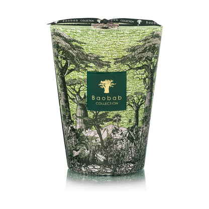 The Baobab Collection Sacred Trees Touba Candle by Baobab is a large green and black candle featuring a forest-inspired design and a gold tree logo, inspired by the Great Green Wall of Africa.