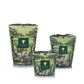 Three Baobab Collection Sacred Trees Touba candles by Baobab, in green and black with a baobab design inspired by Africa’s Great Green Wall, are arranged against a white background.