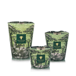 Three Baobab Collection Sacred Trees Touba candles by Baobab, in green and black with a baobab design inspired by Africa’s Great Green Wall, are arranged against a white background.