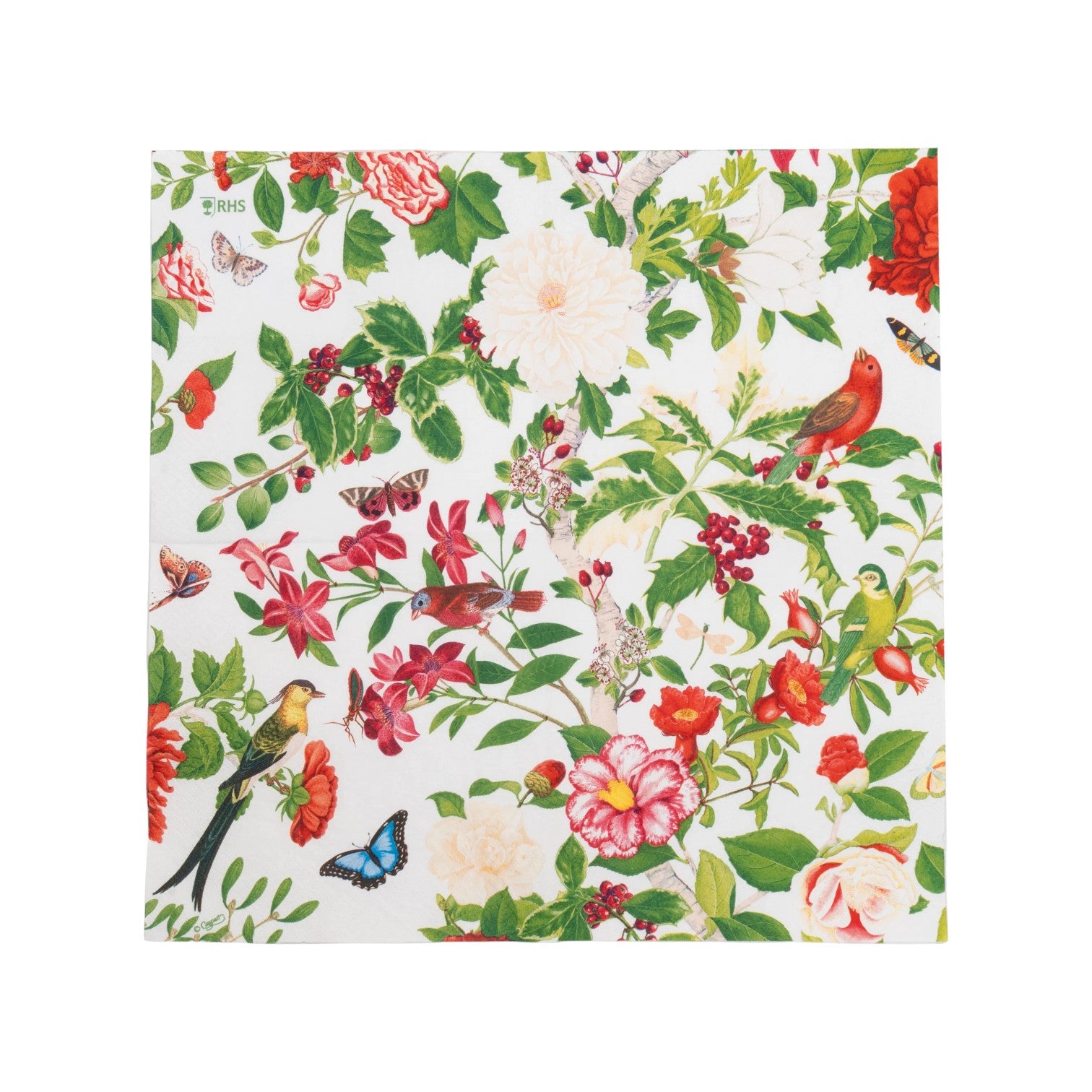 The Caspari Christmas Chinoiserie White Collection features a vibrant floral and bird pattern with festive motifs—ideal for stylish party plates or elegant disposable tableware.