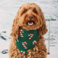 A brown, curly-haired dog wears the Foggy Dog Candy Cane Knit Holiday Dog Bandana with an adjustable snap closure, sitting outdoors in front of a snowy background.