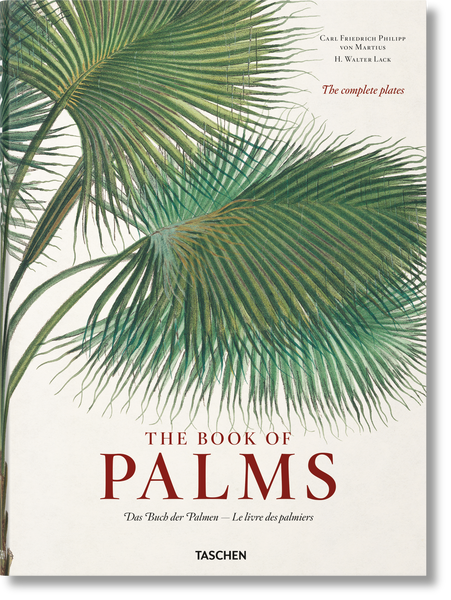 A botanical illustration of a palm frond on the cover of "The Book of Palms" by Carl Friedrich Philipp von Martius, detailing palm trees classification and inspired by his 19th-century Amazonian explorations.