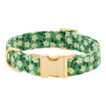 The Foggy Dog’s Dainty Daisies Dog Collar features a grassy green color with petite white daisies, finished with a gold buckle and D-ring.