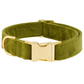 The Velvet Dog Collar Collection by Foggy Dog features an olive green plush velvet collar with a gold metal buckle and D-ring, shown on a white background.