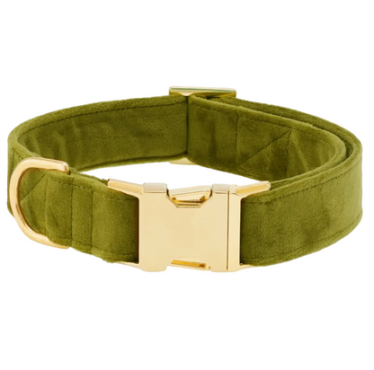 The Velvet Dog Collar Collection by Foggy Dog features an olive green plush velvet collar with a gold metal buckle and D-ring, shown on a white background.