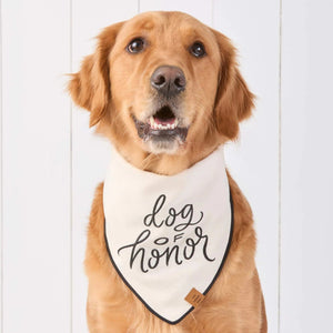 A golden retriever, the perfect wedding dog, sports The Foggy Dog’s “Dog of Honor Dog Bandana” while sitting in front of a white wooden wall.