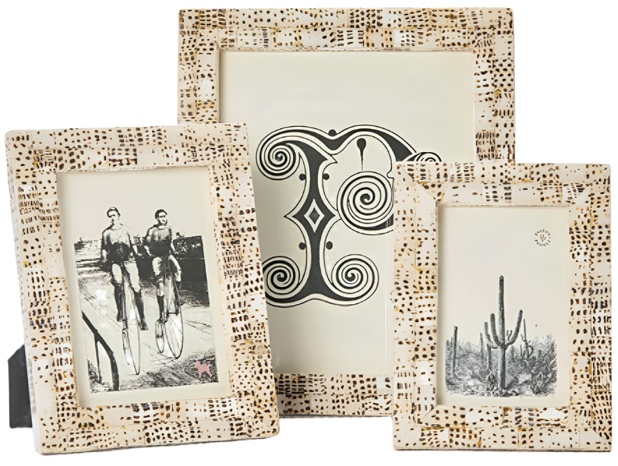 The Mombasa Frame Collection by Pigeon & Poodle features three decorative frames with a Tiger Cowrie–inspired brown-and-white dotted pattern, each displaying unique artwork: cyclists, an abstract design, and a cactus scene.