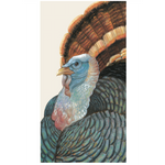 Illustration of a wild turkey with a blue head, vibrant multicolored feathers, and a fanned brown tail set against a plain background—an ideal addition to Hester & Cook’s Heritage Turkey Collection or for bringing timeless autumn style to your fall seating assignments.