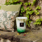 A decorative Baobab Collection Eden Forest candle in a green and white holder, next to a paisley pillow on a stone bench, surrounded by ivy.