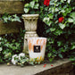 A Baobab Collection Eden Garden Candle in a decorative holder placed on a stone ledge beside a potted plant and surrounded by leafy ivy and Eternal Roses.
