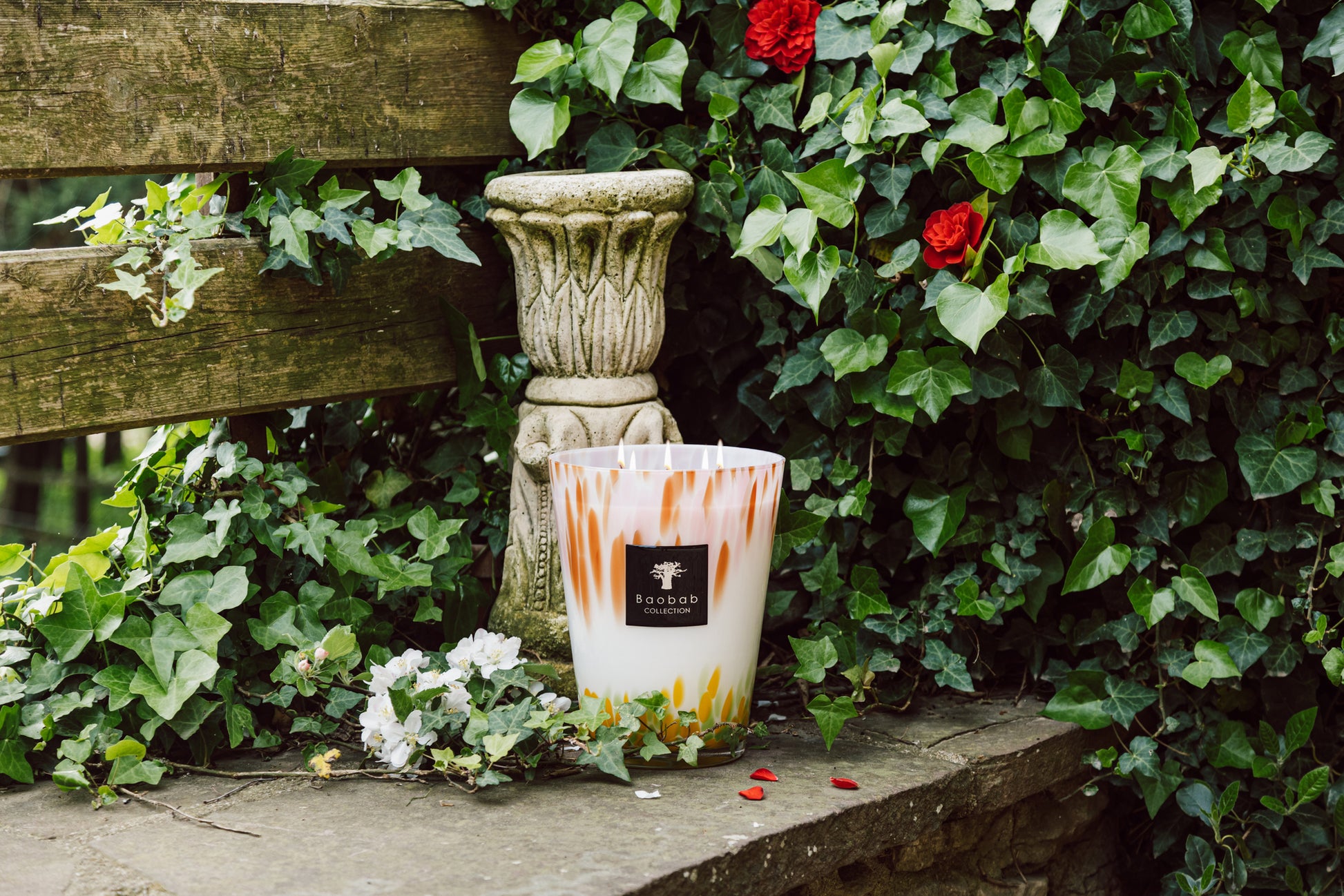 A Baobab Collection Eden Garden Candle in a decorative holder placed on a stone ledge beside a potted plant and surrounded by leafy ivy and Eternal Roses.