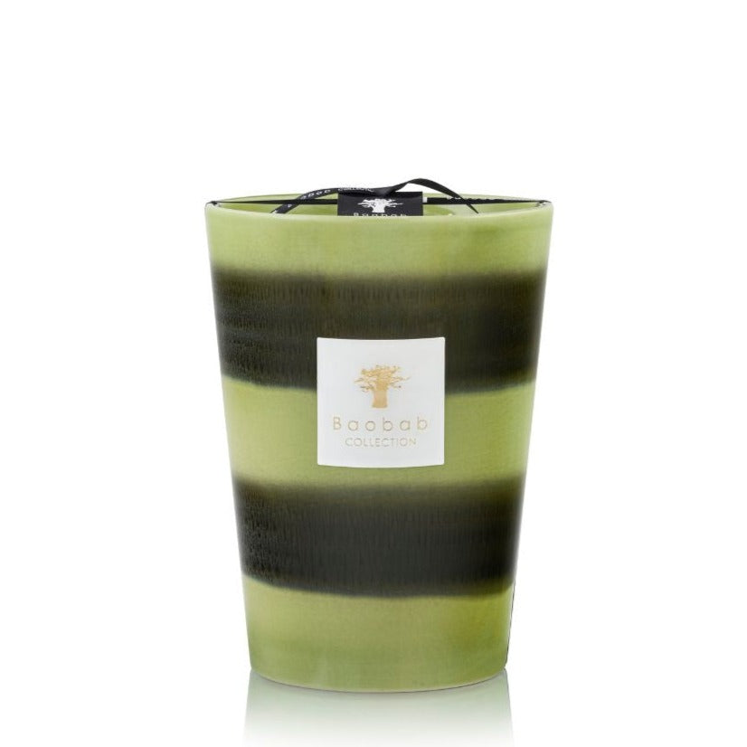 Green and black striped Baobab Collection Elementos Gaia scented candle in a glass container with a label reading "Baobab" on a white background.