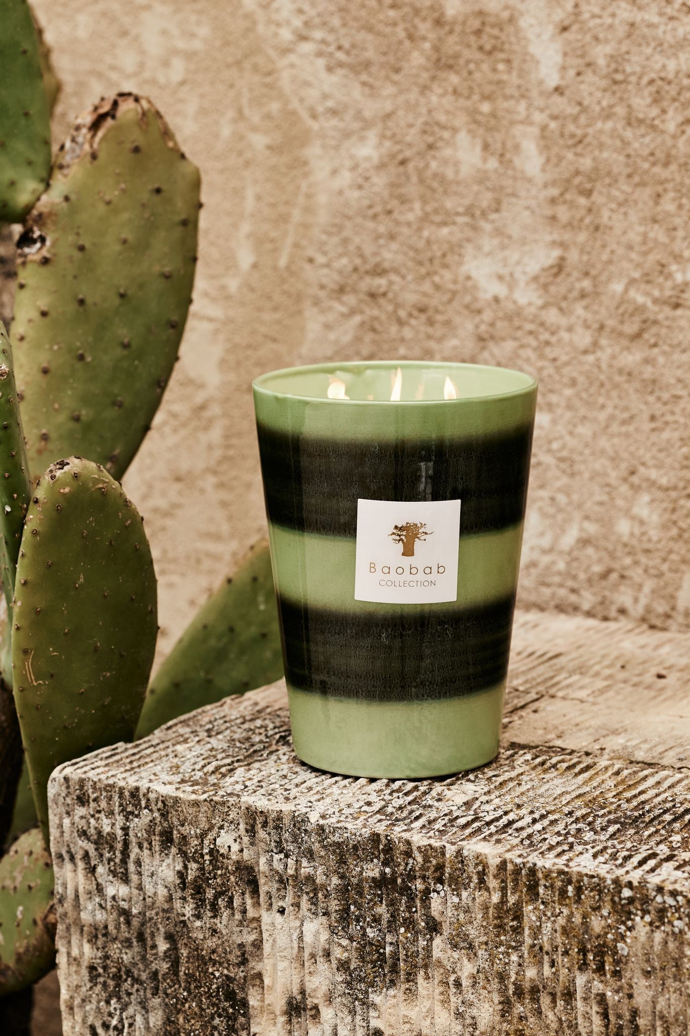 A Baobab Collection Elementos Gaia candle in a green, striped glass container, set on a weathered stone ledge next to a cactus.