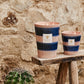 Two Baobab Collection Elementos Téthys candles on a wooden bench beside a stone wall and small cactus.