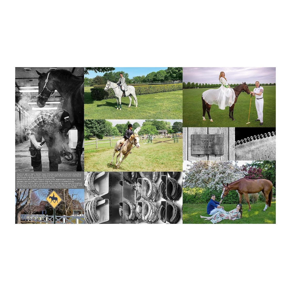Equestrian Life in the Hamptons by Simon & Schuster is a collage celebrating equestrian culture through imagery of riders, caretakers, horse equipment, a horse road sign, and a detailed memorial plaque—evoking the spirit of the Hamptons’ iconic horse shows.