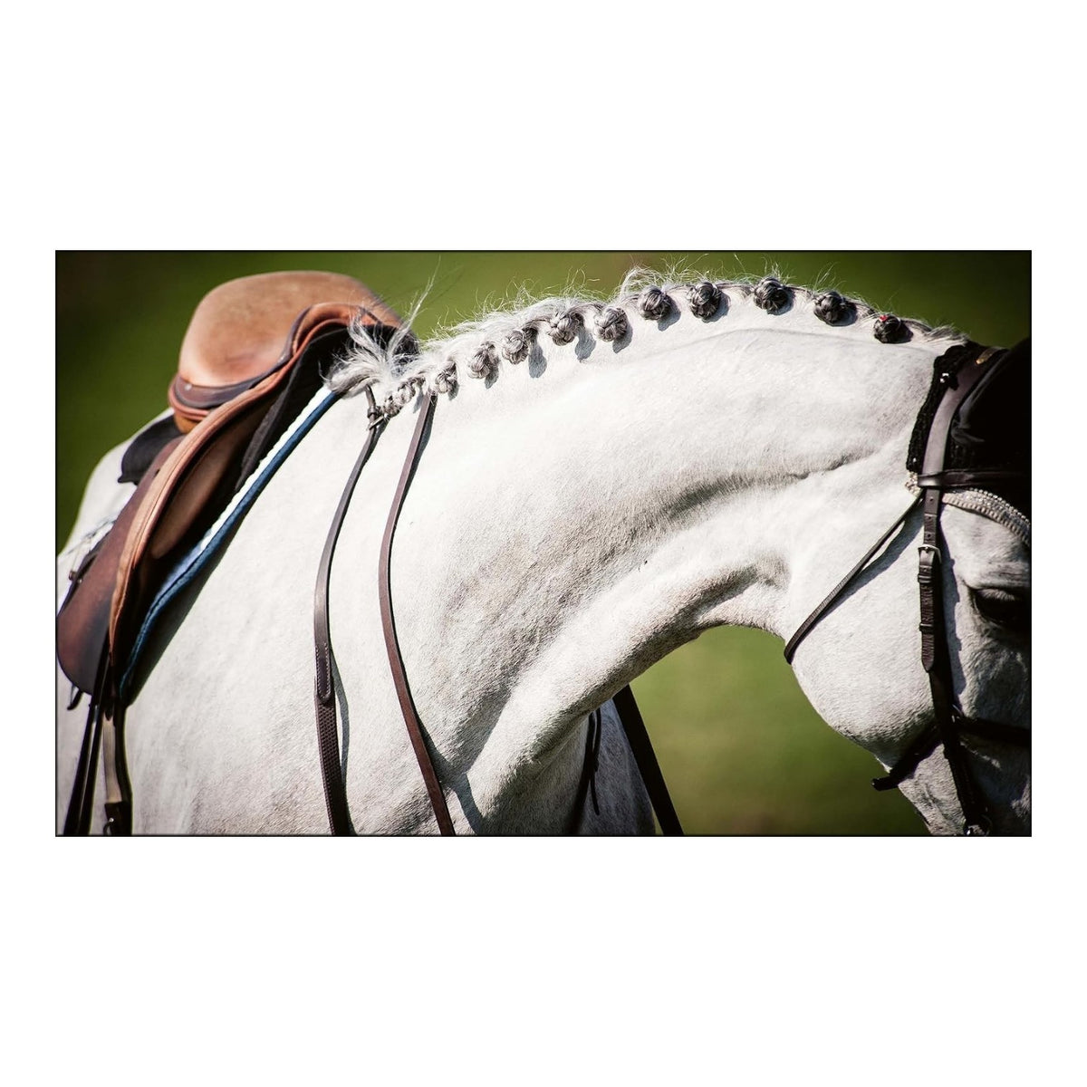 Product Description: “Equestrian Life in the Hamptons” by Simon & Schuster captures a striking close-up of a white horse with a braided mane, adorned with a brown saddle and black bridle, set against a lush green backdrop—embodying the refined elegance and timeless charm of Hamptons equestrian living.