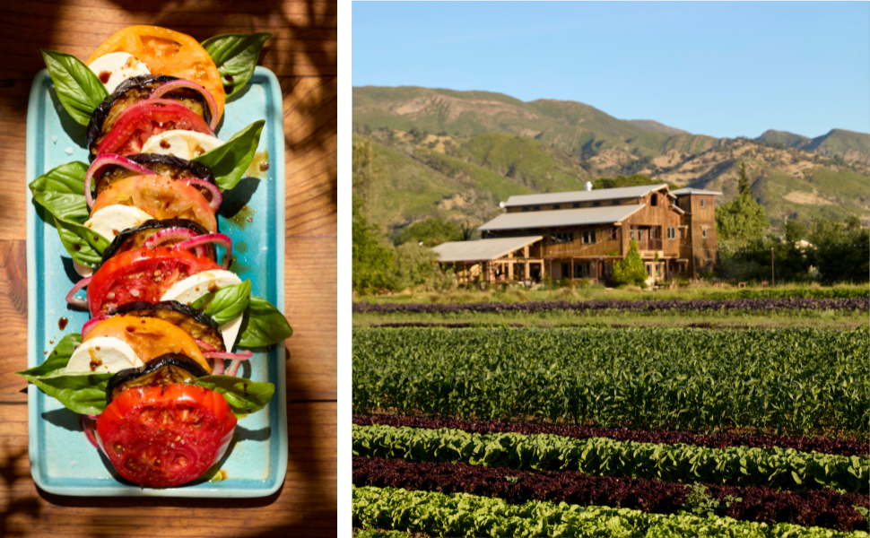 A plate of heirloom tomato salad with mozzarella and basil, inspired by California cooking, sits next to a field of crops with a wooden farmhouse and mountains in the background—a scene from *Full Belly* by Chronicle Books.