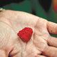 A single ripe raspberry rests in the open palm of a person’s hand, set against a dark green background and capturing the vibrant simplicity inspired by fresh produce recipes from the Malibu Farm Cookbook by Penguin Random House.