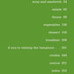 A table of contents set against a green background, featuring sections such as introduction, salads, dinner, dessert, and indexes with matching page numbers—capturing the warm, inviting style found in Penguin Random House’s *Barefoot Contessa At Home*.