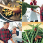 A collage depicting people cooking together, sautéing vegetables, and a close-up of green beans with bacon pieces on a plate, all reflecting the warmth and simplicity of everyday meals inspired by Barefoot Contessa Family Style from Penguin Random House.