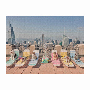 Dogs of New York City bask on vibrant rooftop lounge chairs with a stunning skyline, evoking a Gray Malin photograph. A perfect scene captured in Chronicle Books' "The Dogs of New York City: Gray Malin 1000 Piece Puzzle.