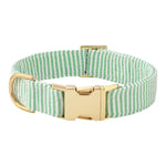 The Foggy Dog Green Seersucker Dog Collar features light green and white stripes with a gold metal buckle and D-ring, shown on a white background.
