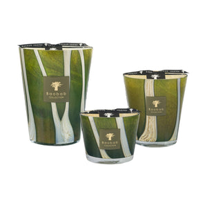 The Baobab Woods Sherwood Candles by Baobab, in glass containers with green and white leaf designs and black tops, bring the lush tranquility of the English countryside to your home.