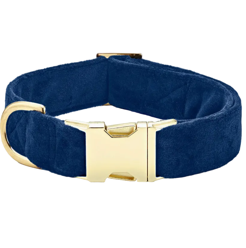 The Velvet Dog Collar Collection by Foggy Dog features a blue plush velvet collar with a gold metal buckle and D-ring—ideal as a luxury dog accessory or an elegant wedding piece.