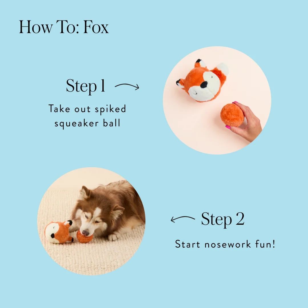 A dog plays with The Foggy Dog Fox 2-in-1 Bounce Dog Toy, while a hand removes the removable bouncy ball from another identical toy on a blue background with text instructions.