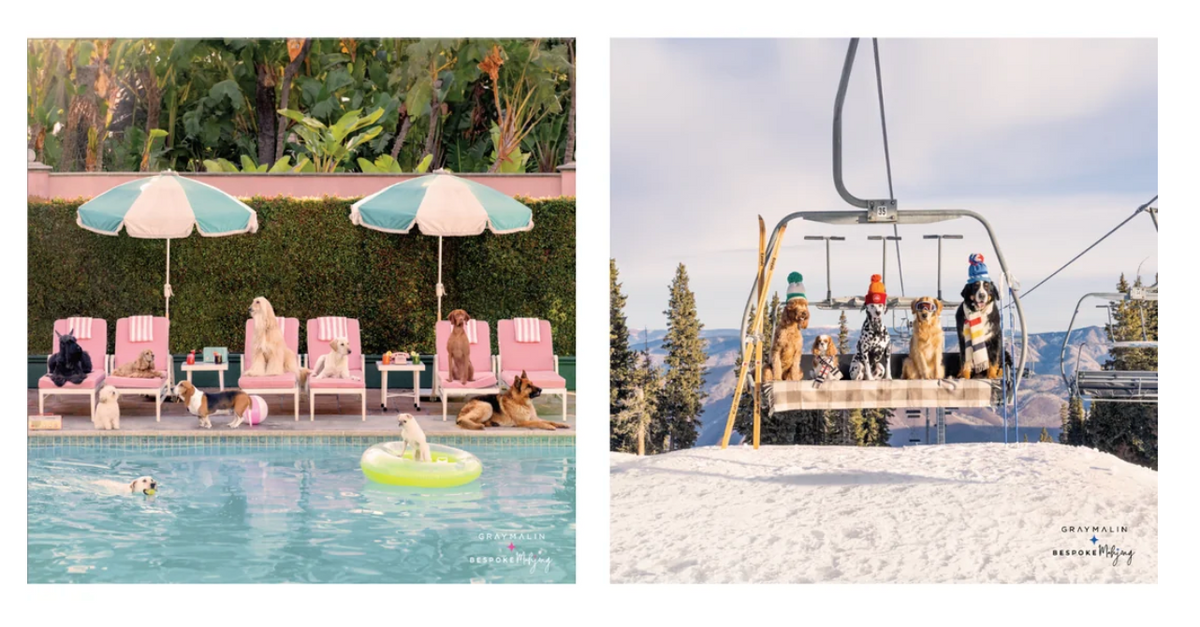 A split image of dogs lounging by a pool and dogs in winter gear on a ski lift, featuring the Bespoke x Gray Malin Mahjong Collection.