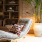 A modern lounge chair with a Manille Cuba Lumbar Pillow with Tassel Fringe by Hive Custom Pillows sits beside a large potted plant and a built-in bookshelf, evoking the chic look of the Kips Bay Show House.