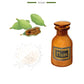 Illustration of a bottle labeled 'Musk,' green cardamom pods, and a pile of sea salt, with text 'Lazuli Cardamom - Sea Salt - Musk Aromatic' and 'Baobab Collection' at the bottom. The Baobab Collection Stones Lazuli Candle is encased in marbled glass.