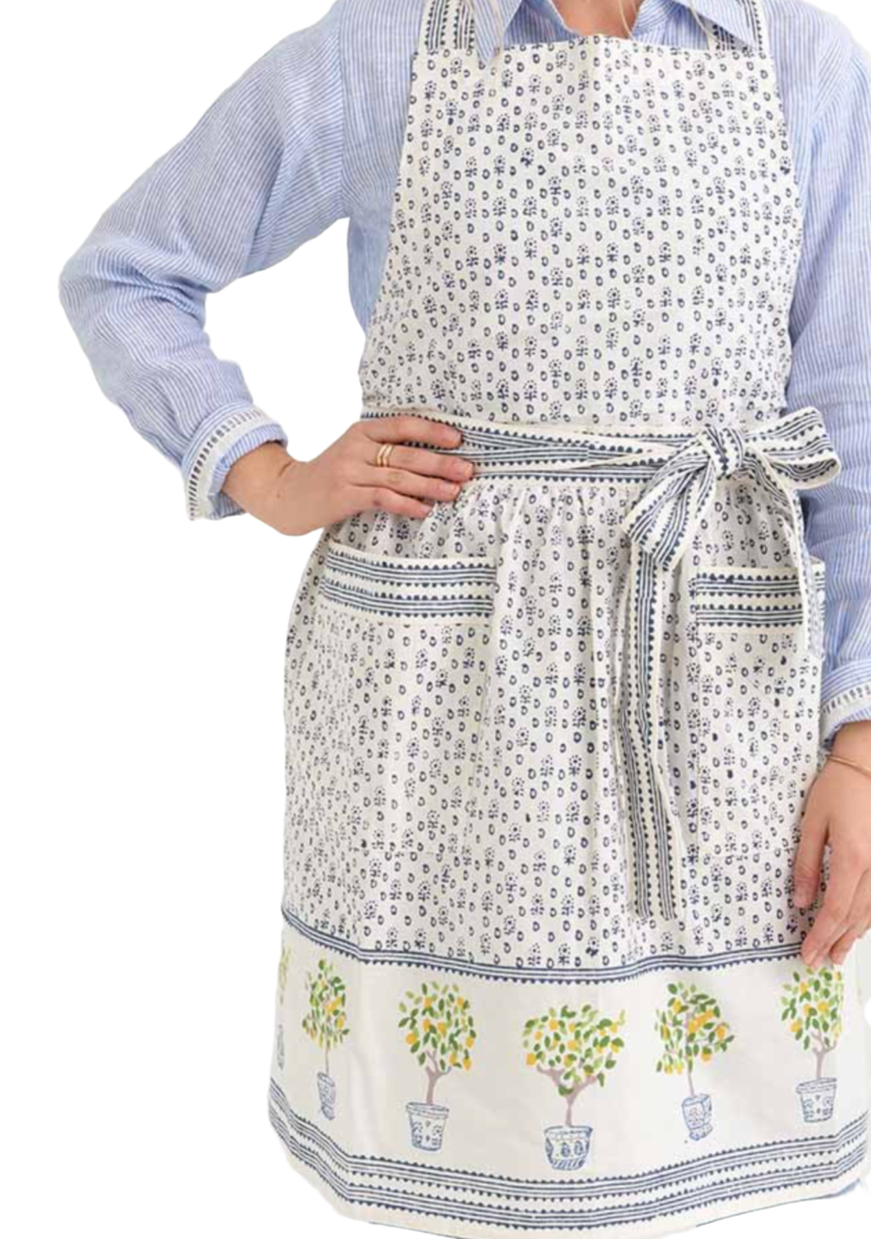 Person in a blue-striped shirt wearing a Pomegranate Inc Apron Collection by Pomegranate Inc. with small flowers and a border featuring potted plants, poses with one hand on hip. Perfect as an adjustable kitchen apron or an ideal chef gift.