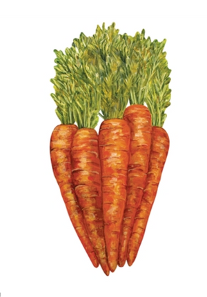 A bunch of six orange carrots with green tops, illustrated on white, makes the Carrots Table Accent by Hester & Cook a vibrant choice to brighten your table settings.