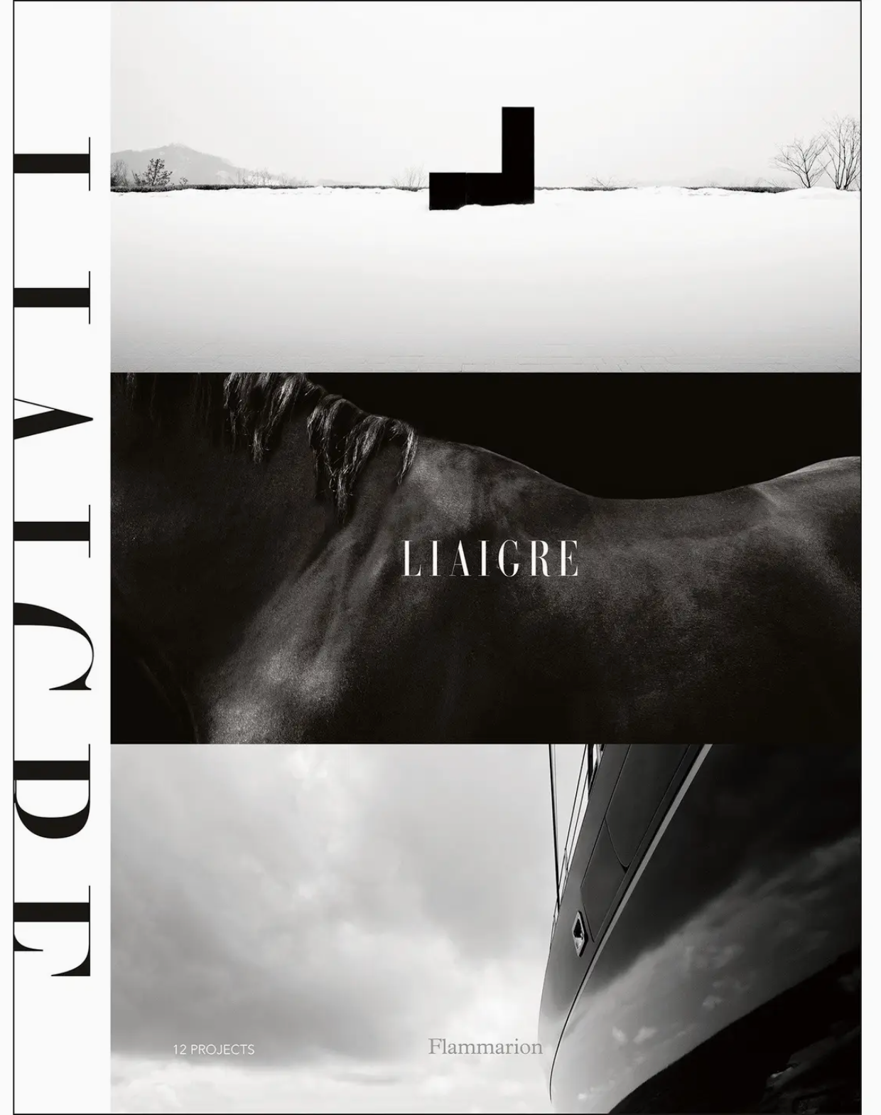 Black and white book cover featuring abstract landscapes, a close-up of a horse, minimalist “Liaigre: 12 Projects” text, and geometric shapes; an homage to Christian Liaigre’s iconic interior design style. Published by Penguin Random House.