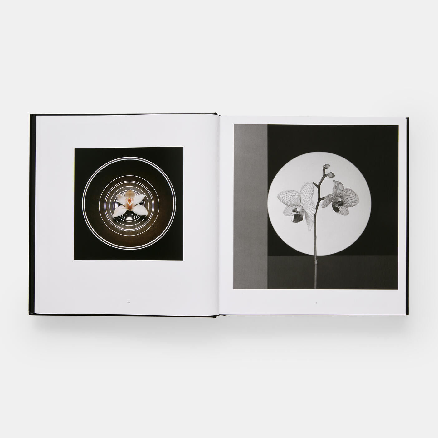 The open pages of "Mapplethorpe Flora: The Complete Flowers" by Phaidon reveal two black and white images: one featuring a circular object, the other an orchid amidst a geometric setting, embodying the unique style of twentieth-century artists such as Robert Mapplethorpe.