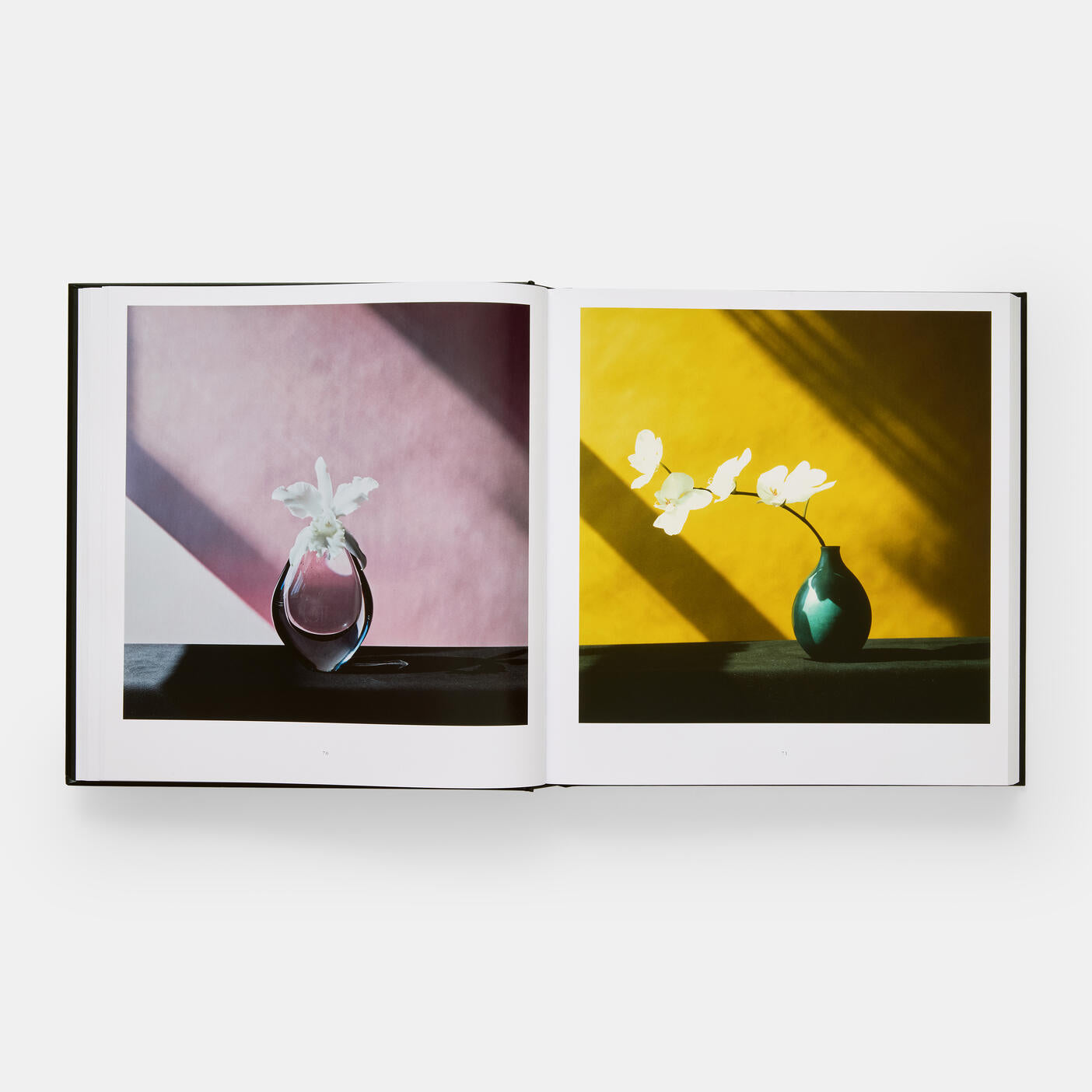 The open "Mapplethorpe Flora: The Complete Flowers" book by Phaidon displays two captivating pages with flower images in vases. The left page has a pink background and the right a yellow one, echoing styles favored by twentieth-century artists like Robert Mapplethorpe.