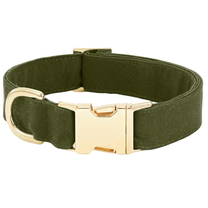 The Foggy Dog’s Olive Green Dog Collar features gold hardware, including a gold metal buckle and D-ring, and is displayed against a neutral white background.