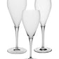 Three clear champagne flutes with long stems from the Melody Drinkware Collection by William Yeoward Crystal are displayed upright against a white background—an elegant choice for wine enthusiasts.