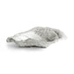 A silver, oyster shell-shaped serving bowl from the Michael Aram Ocean Reef Serveware and Barware Collection is displayed elegantly on a white background.