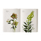 The "Flower Color Guide" by Phaidon is open, showcasing botanical illustrations of two labeled flowering plants with scientific names on a white background.