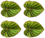 The Kim Seybert Tropicana Coasters Set features four green, heart-shaped leaves with striking veins, arranged in a two-by-two grid—a charming hostess gift with a fresh tropical look.