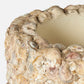 Close-up of the Made Goods Borsala Oyster Shell Planter, Large, featuring a convex form with layered raw oyster shells and a textured natural surface, highlighting the top opening.