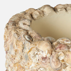 Close-up of the Made Goods Borsala Oyster Shell Planter, Large, featuring a convex form with layered raw oyster shells and a textured natural surface, highlighting the top opening.