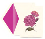 The Modern Vintage Peonies Card Set by Crane features a vintage floral design of pink roses and peonies, paired with a bright pink-lined envelope—an elegant addition to your stationery collection.