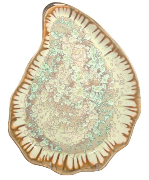 Microscopic cross-section of a plant stem, showing detailed cellular structure and textures reminiscent of a AE Ceramics Large Oyster Plate Collection.