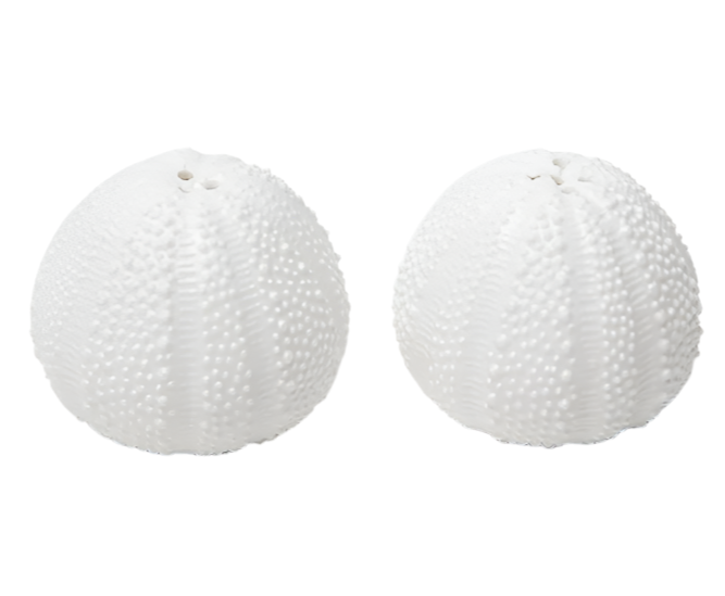 The Blue Pheasant Marina White Salt and Pepper Shaker Set includes two round, textured porcelain shakers with a sea urchin-inspired design and a small hole at the top.