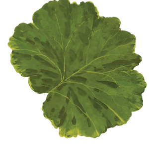 A single, large green Leaf Die Cut Placemat from Caspari with prominent veins and a wavy edge, viewed from above on a white background—a stylish table accessory.